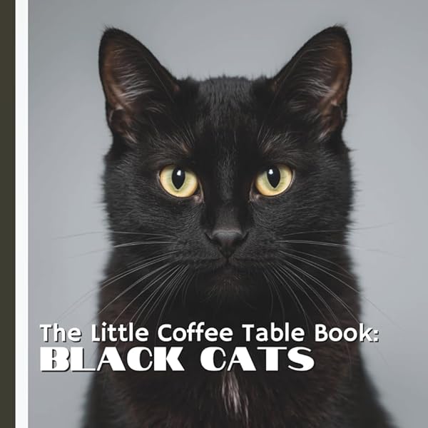 Amazon.com: Black Cats Tell All: True Tales And Inspiring Images