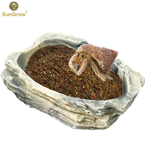 SunGrow Small Hermit Crab Feeding Bowl, for Turtle, Leopard & Crested Gecko, Ball Python, Durable, Multifunctional Decor, Serve as Climbing Toy or Drinking Bowl - Thumbnail 7