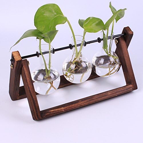 Siyaglass Glass Planter Bulb Vase with archaistic Wooden Stand and Metal Swivel Holder for Hydroponics Plants Home Garden Wedding Decor (3 bulb vase)