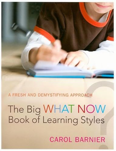 The Big What Now Book of Learning Styles: A Fresh and Demystifying Approach