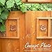 Ekena Millwork ROS02X02SPRW Springtime Square Rosette, 2 3/4