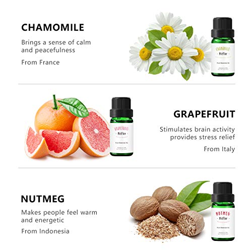 Candle Making Scents, Mitflor Top 6 Premium Grade Aromatherapy Oils