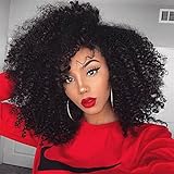 Synthetic Afro Kinky Curly Wigs Shoulder Length Jet Black Full Wigs for Black Women Heat Resistant Fiber + a Free Wig Cap