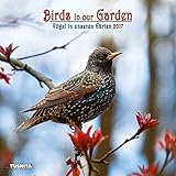 Birds in our Garden (170335) by 