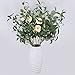 SUPLA 5 Pack Artificial Olive Branch Spray Plants Houseplant Olives Fruit Plants Greenery UV Resistant Plants 28.3