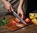 Bigsun Chef Gyutou Knife 67 Layers VG 10 Forged High Carbon Damascus Steel Kitchen cooking Knives with Resin Honeycomb Design Handle (8 Inch Chef Knife, Brown)