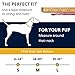 RUFFWEAR - Hoopie Collar, Blue Mountains, Large (2018)