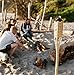 TIKI Brand 1118137 Easy Pour 12-Pack Torch Bamboo Classic Weave Brown, Decorative Torches for Outdoor Lawn, Patio and Garden, Weather Resistant, 57 in