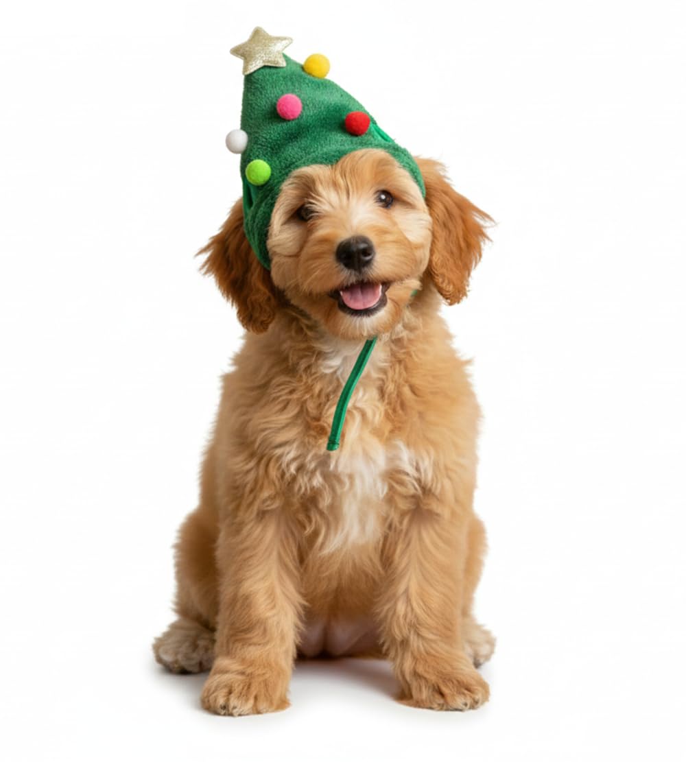 Green Christmas Tree Dog Hat for Small to Medium Dogs – Funny Winter Headwear, Warm Xmas Costume for Puppy, Pug, Frenchie & Spaniel