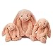 Jellycat Bashful Peach Bunny, Medium, 12 inches