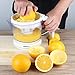 SimpleTaste Citrus Juicer, 9.3 x 6.6 x 8.2 inches
