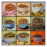 Magnet Raisin Bran Cereals Art Magnetic Vinyl