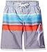 Big Chill Boys' Yarndy with Shark Print Swim Trunk