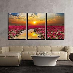 Sunshine Rising Lotus Flower in Thailand x3 Panels