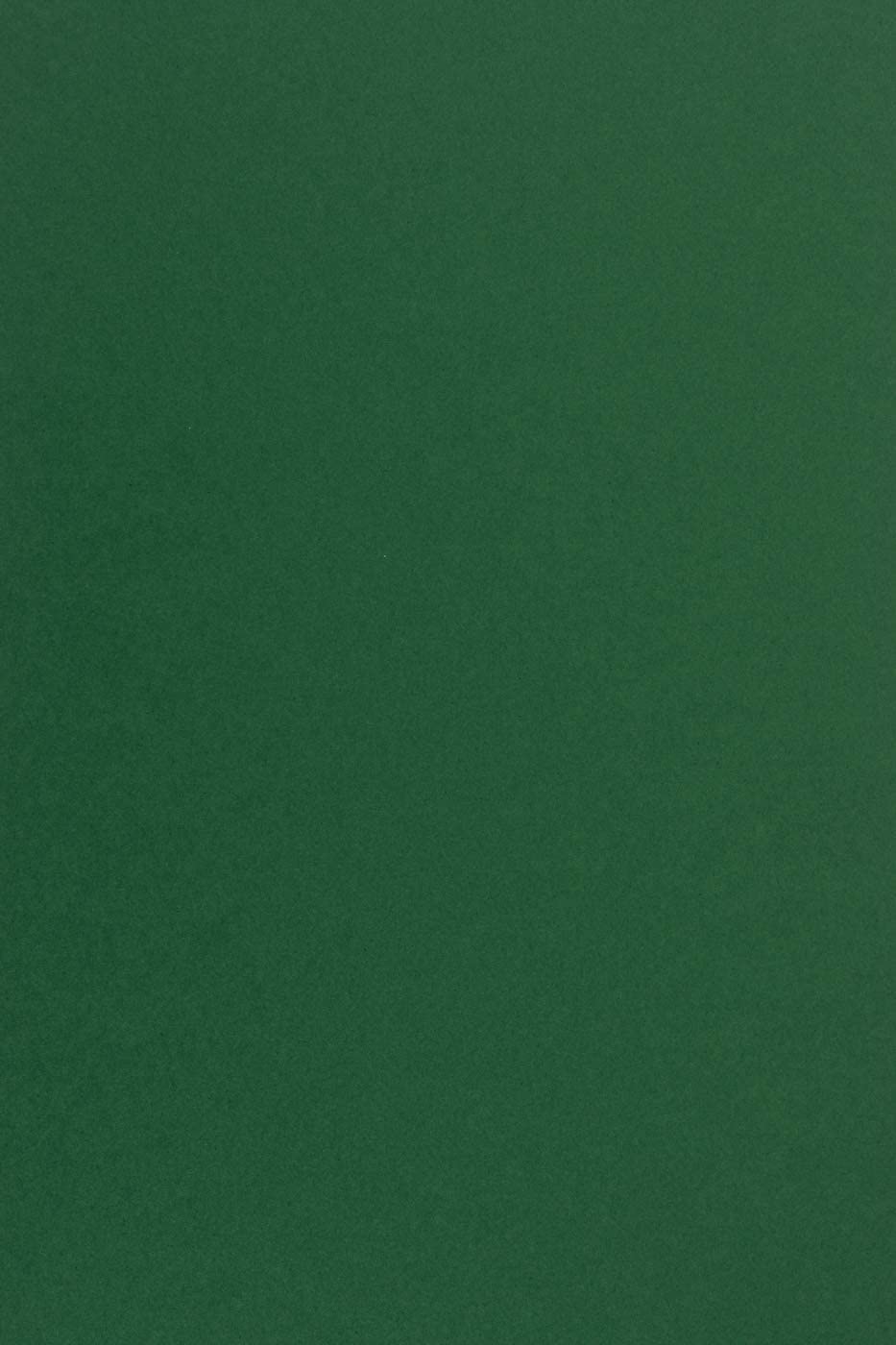 Netuno 10x Dark Green Coloured Paper A4 210 x 297 mm 8.3 x 11.7 in 170gsm Sirio Color Foglia Colourful Printable Card Craft Paper for DIY Projects cardmaking Invitations Greeting Cards Weddings