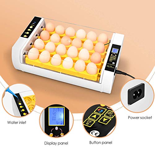 24 Eggs Incubators for Hatching Eggs with Automatic Turner, Turning