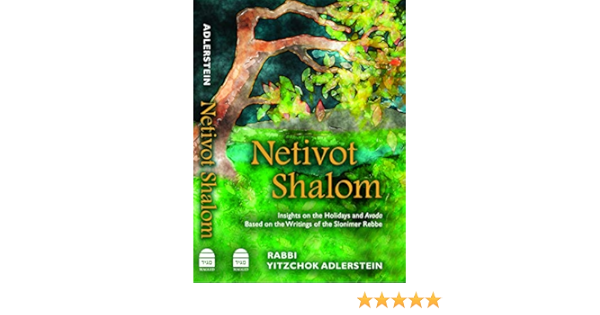 Netivot Shalom Yitzchok Adlerstein 9781592645350 Amazon Com Books