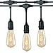 18Ft Outdoor Weatherproof String Lights with 12 Hanging Sockets & 7Watt ST40 Clear Bulbs, UL Listed E17 Base Vintage Edison Light String for Patio, Porches, Bistro, Backyard, Black Wire