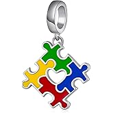 Daixiya Autism Awareness Charm 925 Sterling Silver Autism Awareness Jewelry Gifts for Women