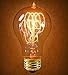 Vintage Antique Bulb 40w, Victorian Edison Style A19
