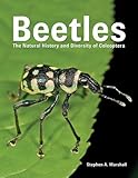 Beetles