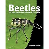 Beetles: The Natural History and Diversity of Coleoptera