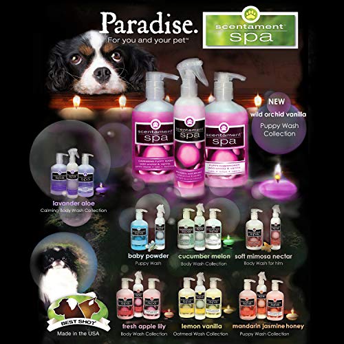 Best Shot Pet Scentament Spa Botanical Body Splash, Mandarin Jasmine Honey, 8 oz - Image 7