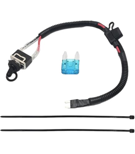 Amazon.com: Blue Ox BX88294 ATC/ATO Fuse Bypass Switch