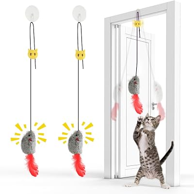 FYNIGO Cat Toys for Indoor Cats 2 Pack Self Play Hanging Mouse Toy