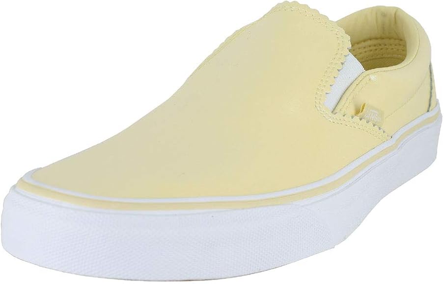 women's vans asher suede skate shoes