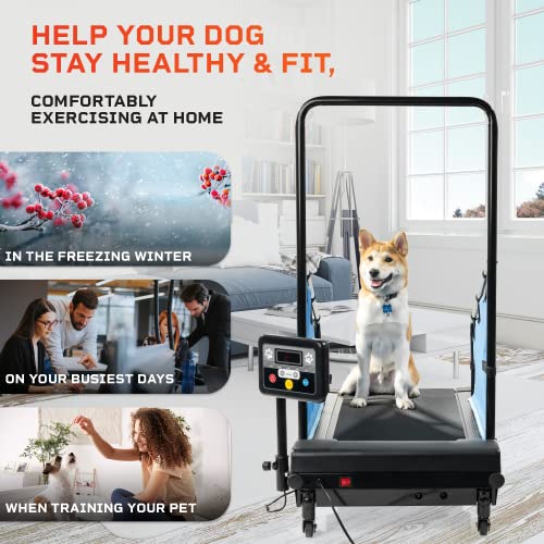LifePro Dog Treadmill Small Dogs Dog Treadmill for Medium Dogs Dog