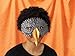 Martha Stewart Crafts Decorative Mask, Crow