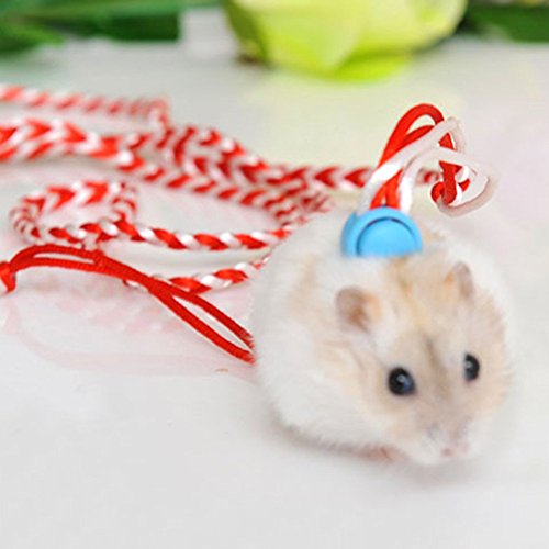 syrian hamster leash
