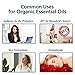 Nexon Botanics Organic Essential Oil Set - Pure Natural USDA Organic Essential Oils Kit - Best Aromatherapy, Diffuser Oils Set - Lavender, Peppermint, Eucalyptus, Tea Tree,Orange,Lemongrass 6 x 10 ml
