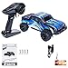 PLRB All Terrain RC Cars, 4x4 Off Road RC Trucks 18 MPH High Speed Racer 1:24 Scale Electric Remote Control Truck(7.9inch)-RC Truggy Shell RC Car for Kids, X-Drive Blue