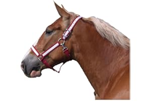 Intrepid International Draft Horse Nylon Halters with Overlay