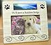 Banberry Designs Pet Bereavement Photo Frame for Dog or Cat - We'll meet at Rainbow Bridge - for 4x6 Photo