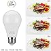 Glen Mila 100W Equivalent LED Light Bulbs, A19 Type (11W) 6000K Daylight Bulbs E26 Medium (Edison) Screw Base 1100 Lumen General Purpose for Home Lighting, Non- Dimmable ( 4 Pack )