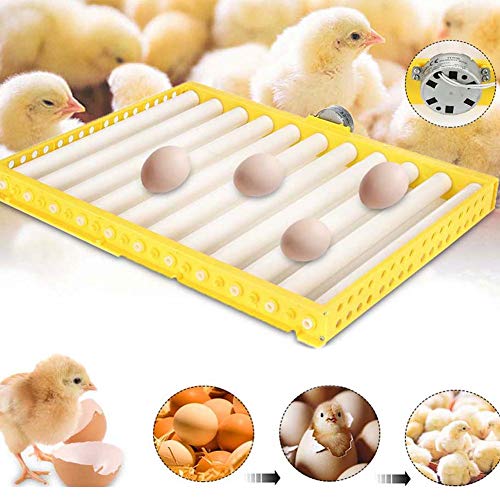 WANGIRL Digital Automatische Brutmaschine Ersatzteil for Automatische Brutmaschine Eierwender Inkubator 25-100 Eier… – Bild 3