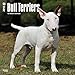 Bull Terriers 2018 Calendar