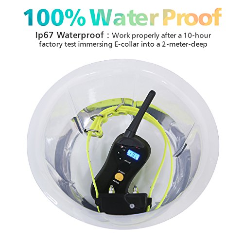 focuspet dog training collar