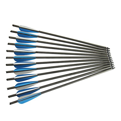jiexi fashion Archery Crossbow Arrows 2219 Pure Carbon Fiber Crossbow Bolts Package of 12 (22 inch)