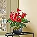 GTidea 2pcs Artificial Plants Silk Anthurium Flowers Bushes Fake Shrubs Home Garden Office Table Windowsill Indoor Outside Greenery Decor Red