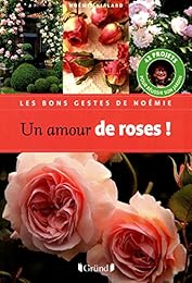 Un  amour de roses !