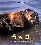 ラッコ (どうぶつの赤ちゃんとおかあさん)