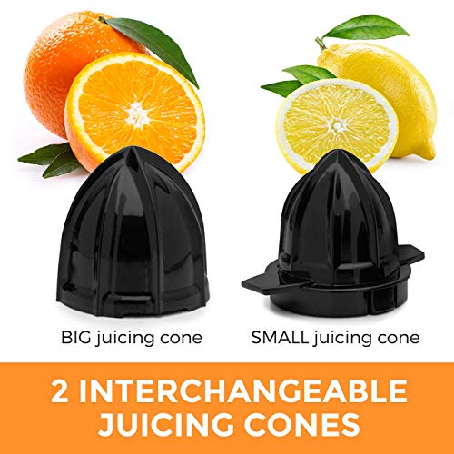 Pohl+Schmitt Deco-Line Electric Citrus Juicer Machine Extractor - Large Capacity 34oz (1L) Easy-Clean, Featuring Pulp… - Image 6