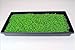 Living Whole Foods 50 Plant Growing Trays (No Drain Holes) - 20inches x 10inches - Perfect Garden Seed Starter Grow Trays: for Seedlings, Indoor Gardening, Growing Microgreens, Wheatgrass & More -