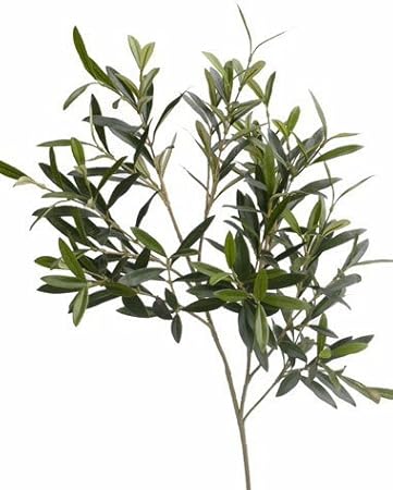 Amazon.de: artplants Deko Olivenzweig, grün, 235 Blätter, 90 cm uv