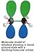 1013A /Organic Chemistry Set for Student (HGS Polyhedron Molecular Model)