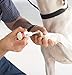 Top Performance MediStyp Liquid Super Sealer - Liquid Bandage for Treating Minor Nicks and Cuts on Dogs and Cats